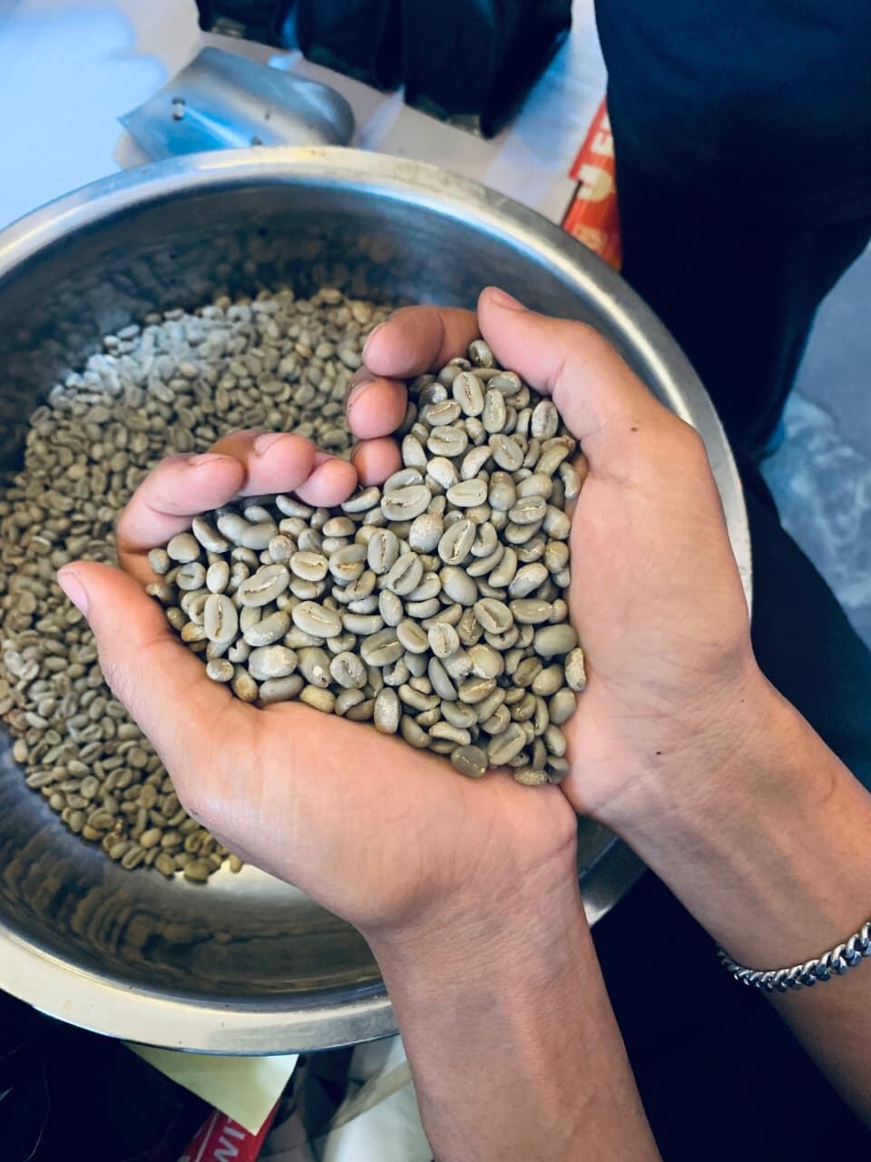 Green bean Kopi Gayo pilihan di tangan petani SAVA Coffee